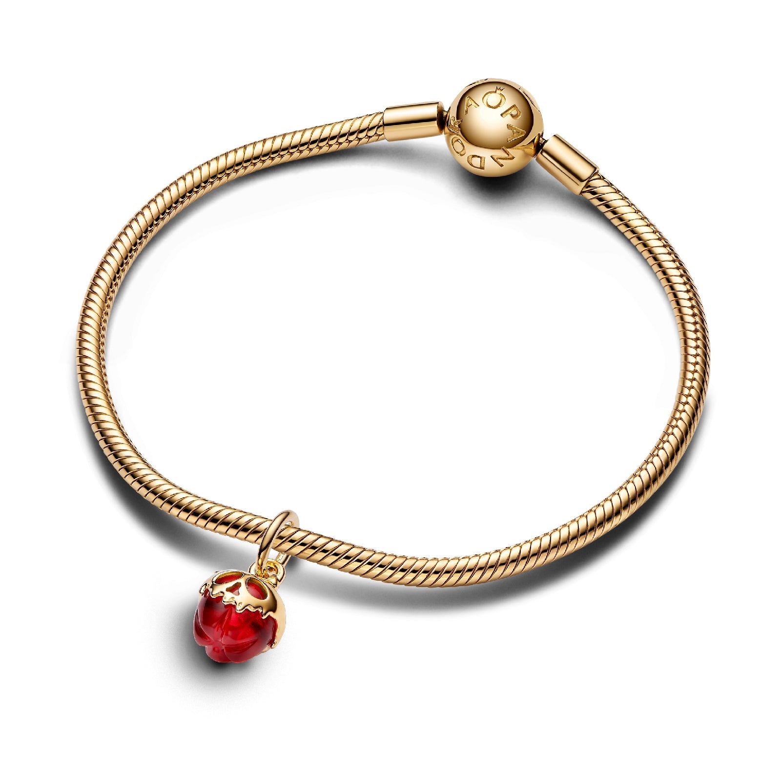 Pandora 763421C01 Charm – Eldorado Jewels
