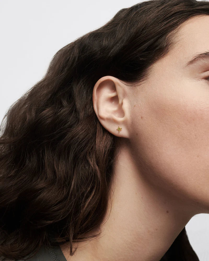 Pdpaola Fleur Green Single Hoop Earring PG01-320-U