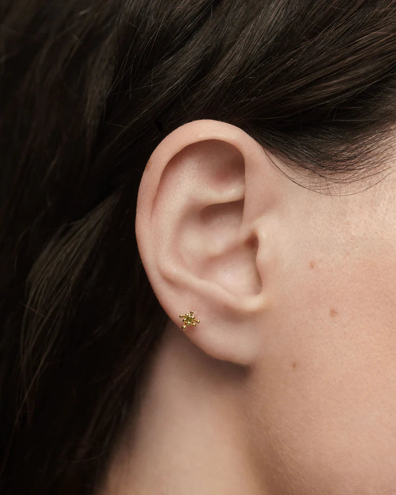 
                  
                    Pdpaola Fleur Green Single Hoop Earring PG01-320-U
                  
                