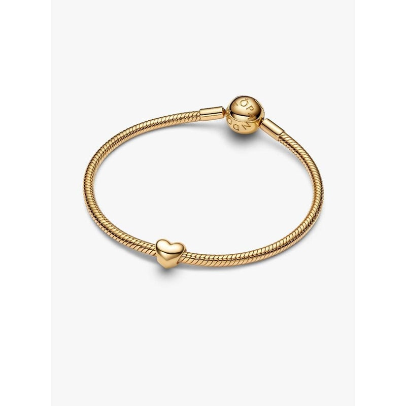 Charm Pandora 763998C00