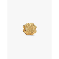 Charm Pandora 764047C00