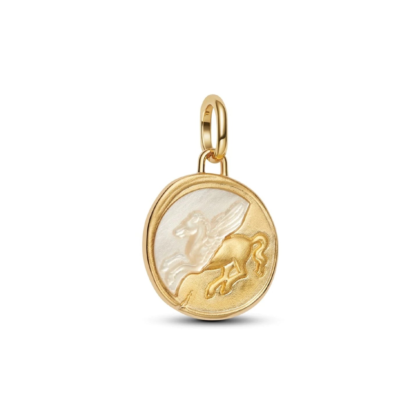 Charm Pandora 764090C01