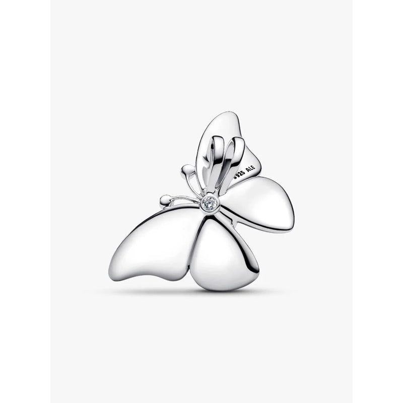 Charm Pandora 793747C01
