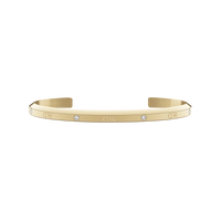 Bracciale Daniel Wellington Lumine DW00400529