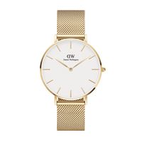 Daniel Wellington Petite Evergold women's watch DW00100346-DANIEL WELLINGTON-Eldorado Jewels
