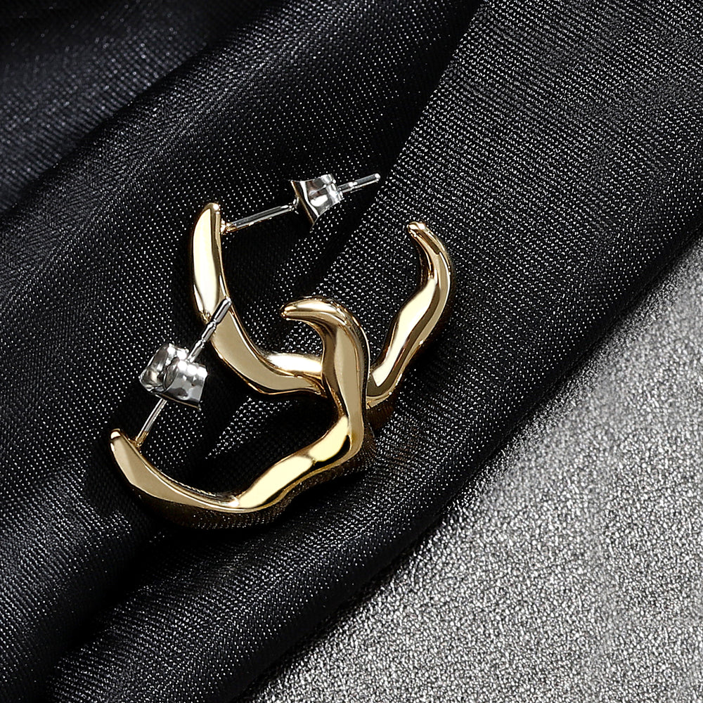 
                  
                    TRUSSARDI T-DESIGN WOMEN'S EARRINGS TJAXA05
                  
                