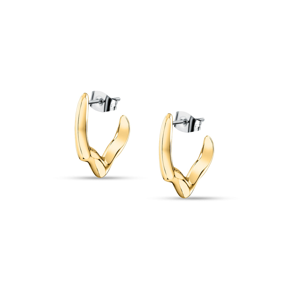 
                  
                    TRUSSARDI T-DESIGN WOMEN'S EARRINGS TJAXA05
                  
                