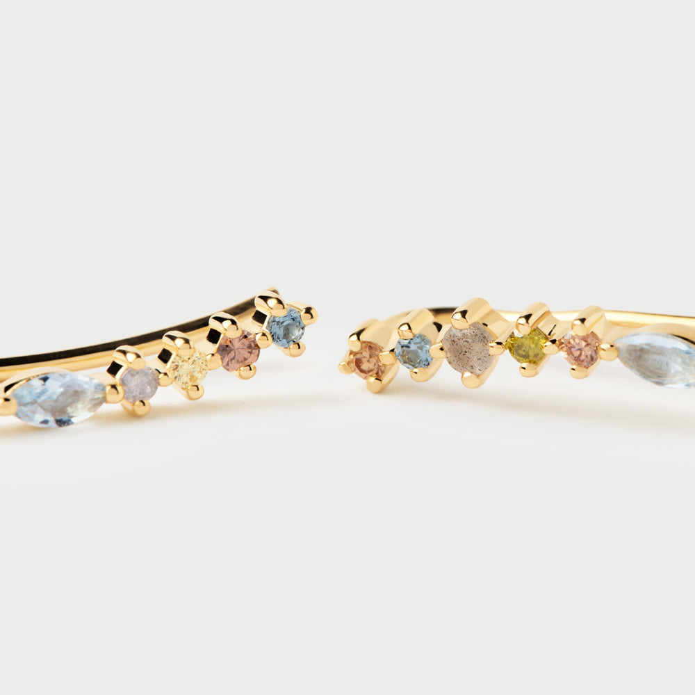 
                  
                    PDPAOLA Lotus Creeper Earrings AR01-C79-U
                  
                