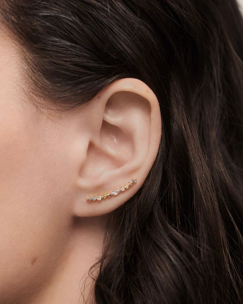 
                  
                    PDPAOLA Lotus Creeper Earrings AR01-C79-U
                  
                