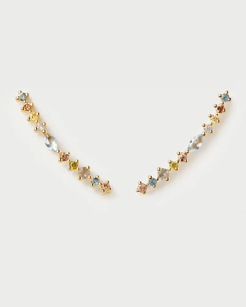 
                  
                    PDPAOLA Lotus Creeper Earrings AR01-C79-U
                  
                