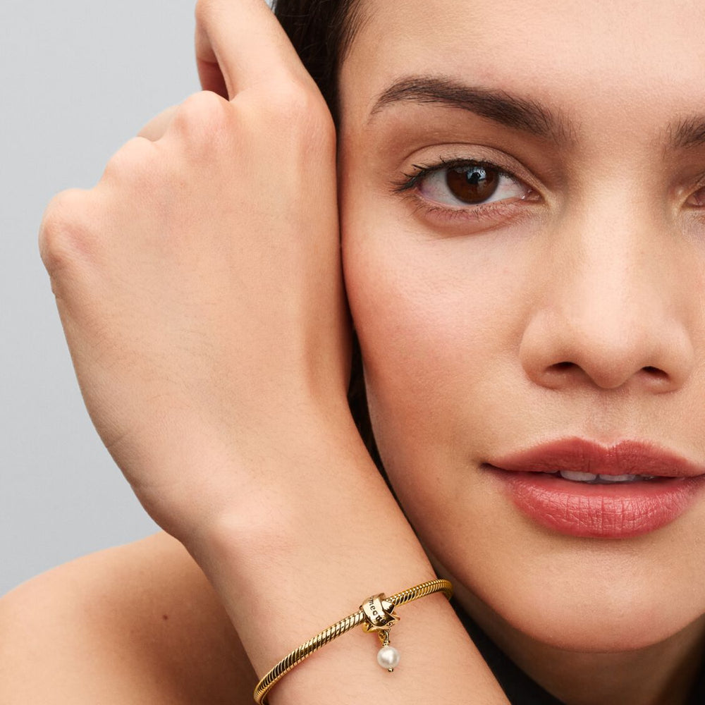 
                  
                    Pandora Someone Special Pendant Charm 763784C01
                  
                